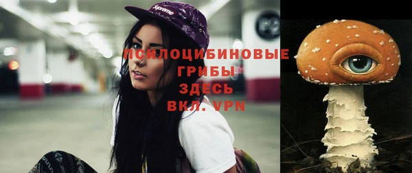 MDMA Premium VHQ Зерноград