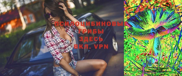 индика Абдулино
