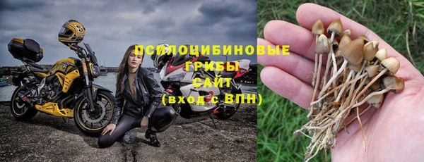 ПСИЛОЦИБИНОВЫЕ ГРИБЫ Абаза