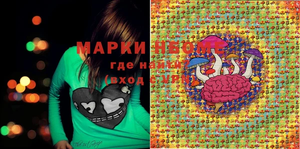 ПСИЛОЦИБИНОВЫЕ ГРИБЫ Абаза
